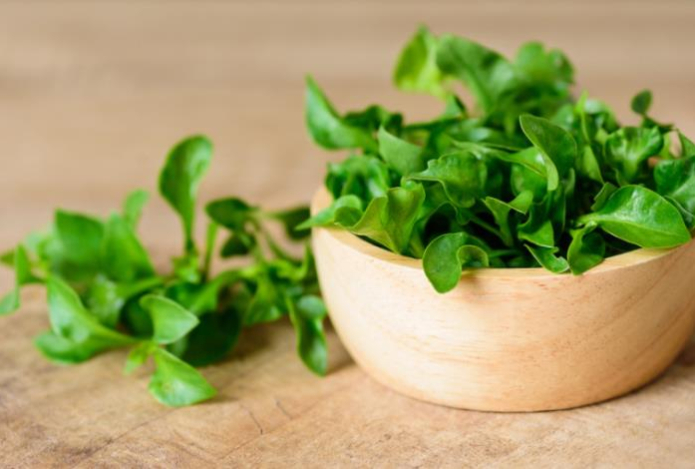 Назван самый полезный продукт на планете