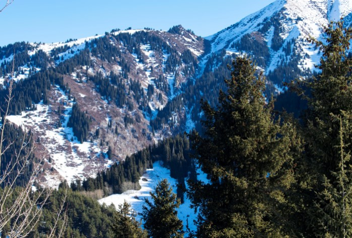 Живописные кадры природы близ Алматы восхитили соцсети