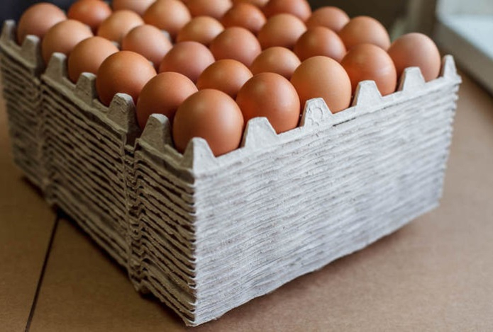 Разницу между белыми и коричневыми яйцами наконец-то объяснили