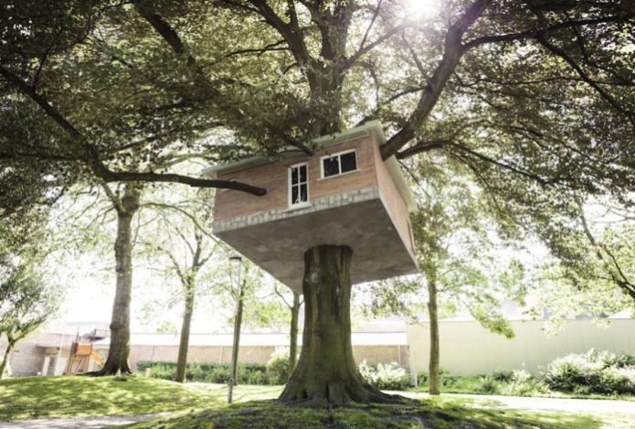 Названо лучшее место проживания, снижающее риск сердечно-сосудистых заболеваний