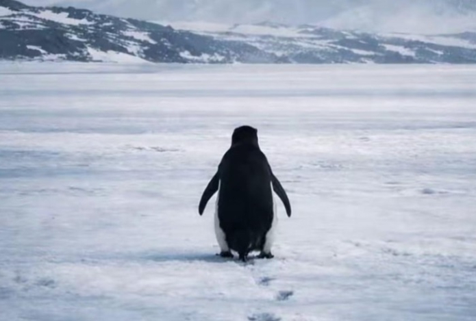 Мем про выгорание, в котором все узнали себя. Видео