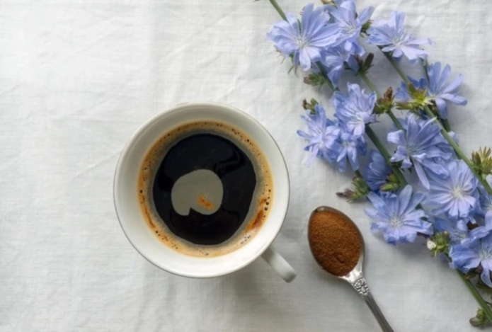 Кому нельзя принимать цикорий