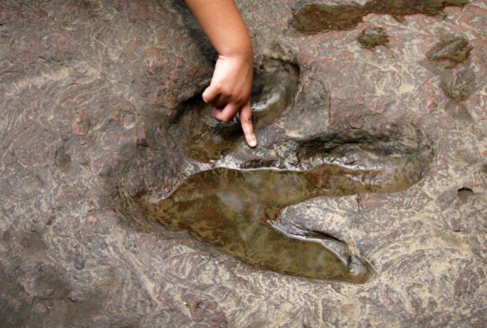 Искусственный интеллект раскрыл тайны следов динозавров