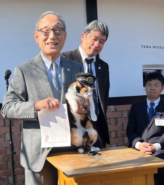 В Японии кошку назначили начальником железнодорожного вокзала