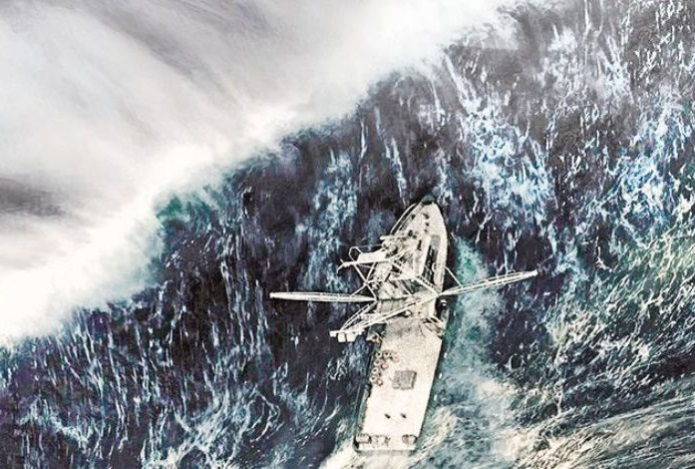 Ученые встревожены аномальным поведением банды косаток-убийц