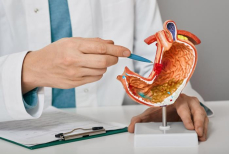 Какие продукты категорически нельзя есть при гастрите и язве