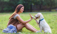 Кинолог развеял мифы о восприятии мира собаками