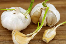 Можно ли есть проросший чеснок? Эксперты дали однозначный ответ