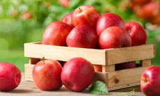 Когда вредно есть яблоки с кожурой