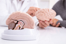 Врачи назвали пищевые привычки, которые вредят мозгу