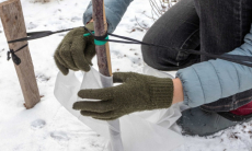 Как предотвратить самый страшный кошмар садовода