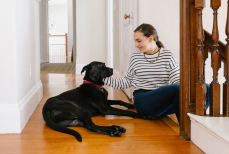 Эксперты объяснили поведение домашних животных в экстремальных ситуациях