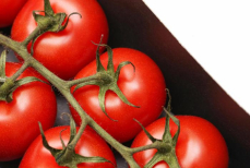 Помидоры с запахом кинотеатра — в Китае создали необычный сорт