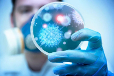 Почти без шансов — какие вирусы считаются самыми смертоносными в мире