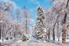 Казахстан накроют 40-градусные морозы и метели