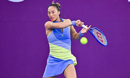 Сенсационный факт зафиксирован на турнире с участием Елены Рыбакиной