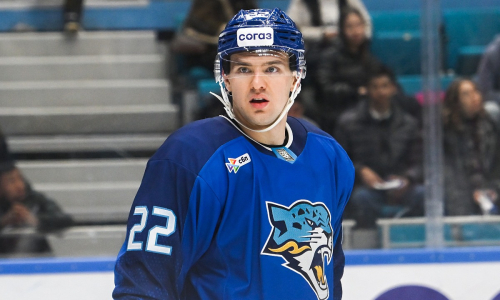 Кирилл Панюков