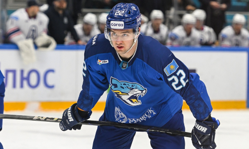 Кирилл Панюков