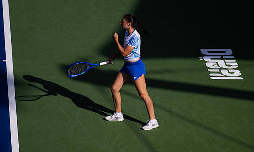 «Безумная история». Соперница Елены Рыбакиной сделала заявление после её снятия с матча