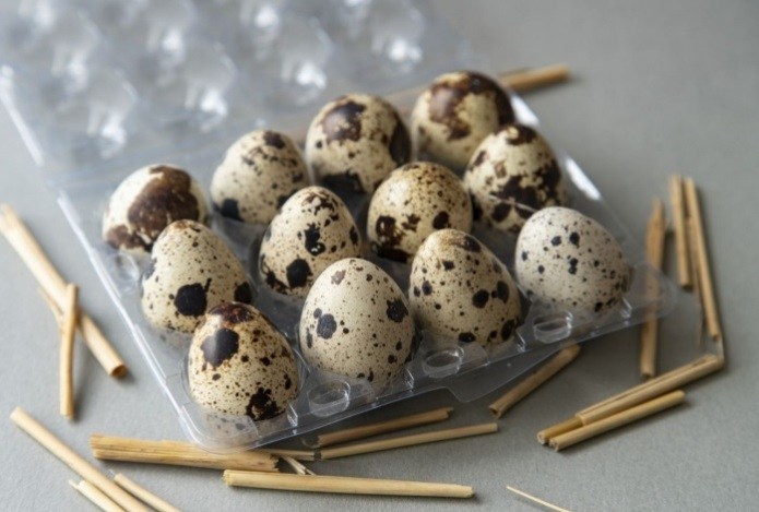 Выгодное хобби для дачников. Как начать разводить фазанов и перепелов