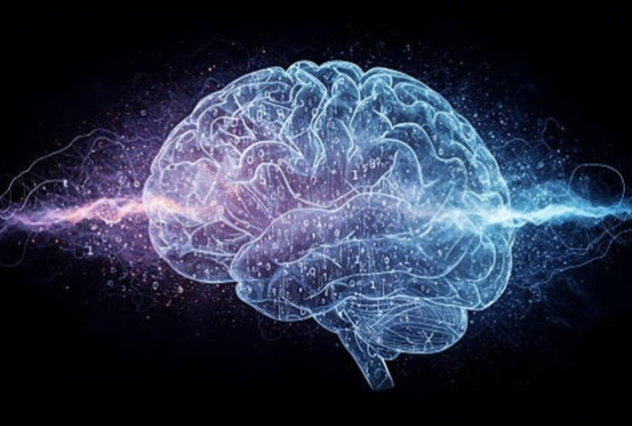 Почему стресс полезен для мозга