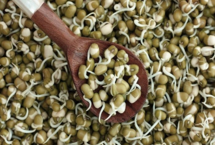 Зелёный суперфуд — чем бобы мунг полезны для кожи, сна и детокса