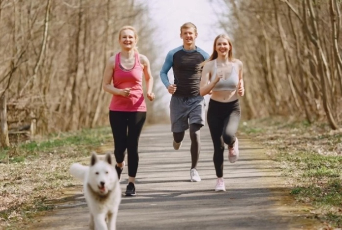 Назван легкий способ борьбы с паническими атаками