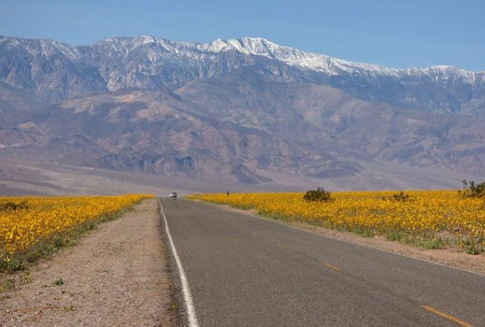 Редкое явление — в Долине Смерти ожидают яркий природный феномен