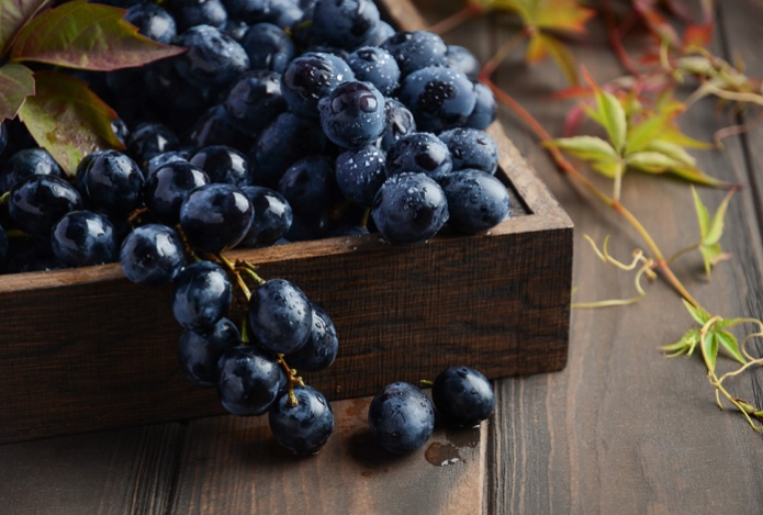 Ученые выяснили, как обычный виноград влияет на зрение