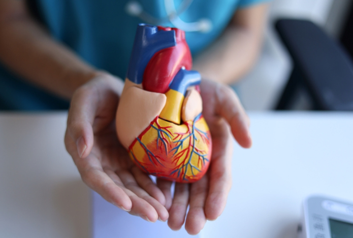 Терапевт предупредила о рисках проблем с сердцем весной