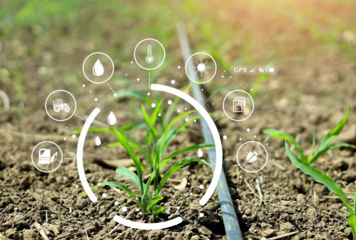 Как растения «сигналят» о стрессе — и почему это может быть важно для аграриев и экологии