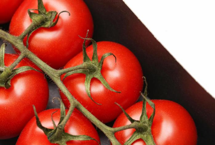 Помидоры с запахом кинотеатра — в Китае создали необычный сорт