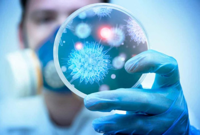 Почти без шансов — какие вирусы считаются самыми смертоносными в мире