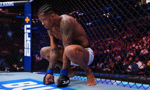 Прямая трансляция турнира UFC Fight Night 266 с главным боем Баутиста — Оливейра