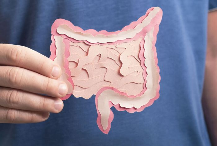 Какая связь между образованием метана в кишечнике и раком