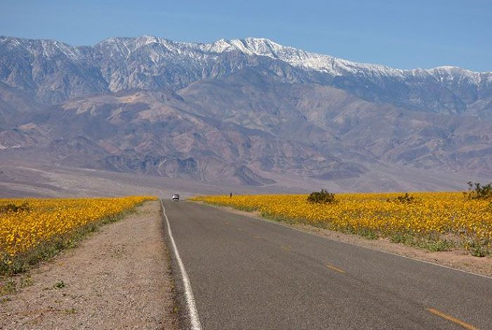 Редкое явление — в Долине Смерти ожидают яркий природный феномен