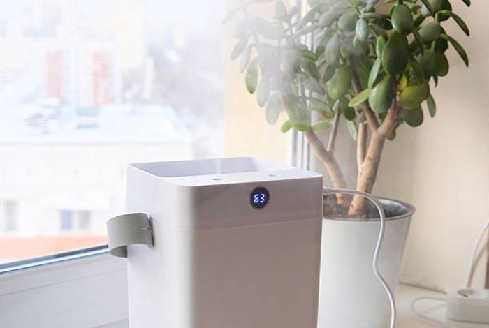 Врач объяснила, почему сухой воздух в квартире опасен для здоровья