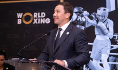 Россия и Беларусь официально поддержали Геннадия Головкина