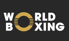 В Госдуме РФ отреагировали на включение России в состав World Boxing