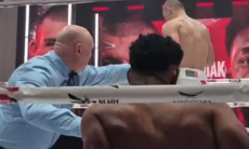 Видео эффектного нокаута Александра Хижняка в дебютном бою в профи