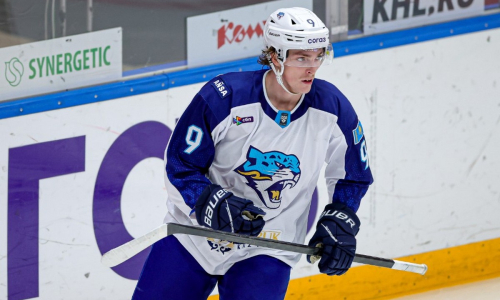 Эксперт оценил шансы на победу в матче СКА — «Барыс»