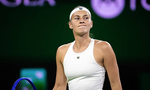 Украинская теннисистка выступила с обращением после поражения от Елены Рыбакиной