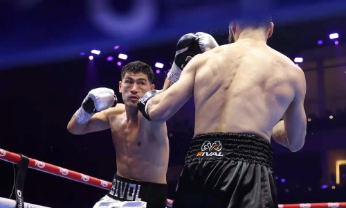 Озвучен исход титульного боя Дмитрия Бивола в России