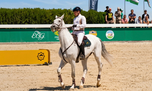 Казахстанский всадник Соколенко выиграл этап Кубка мира в Узбекистане