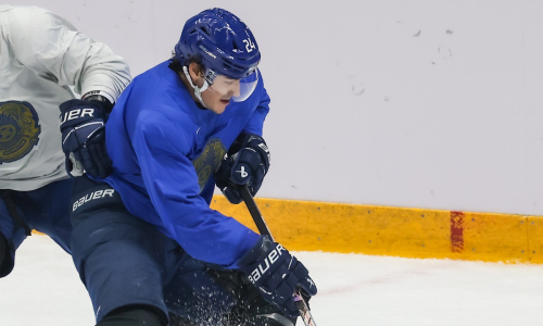 Дмитрий Бреус