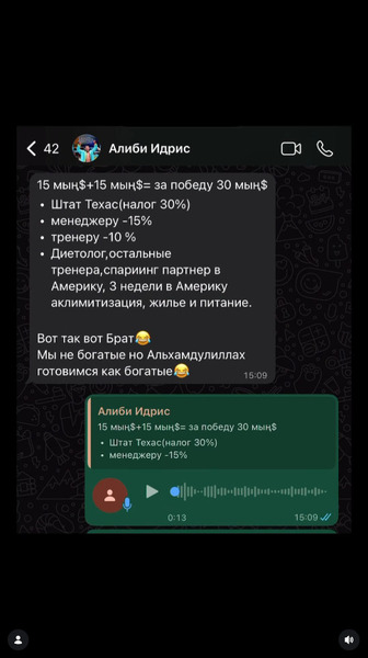 Боец UFC из Казахстана раскрыл доходы и расходы за бой