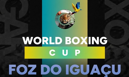 Определились все победители первого этапа Кубка мира по боксу