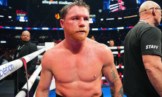 Сауль «Канело» Альварес получит бой за титул WBC