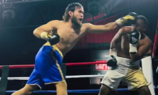 «Казахский титан» нокаутом завоевал титул WBC. Видео