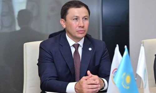 Геннадий Головкин провёл встречу с министром спорта Сербии